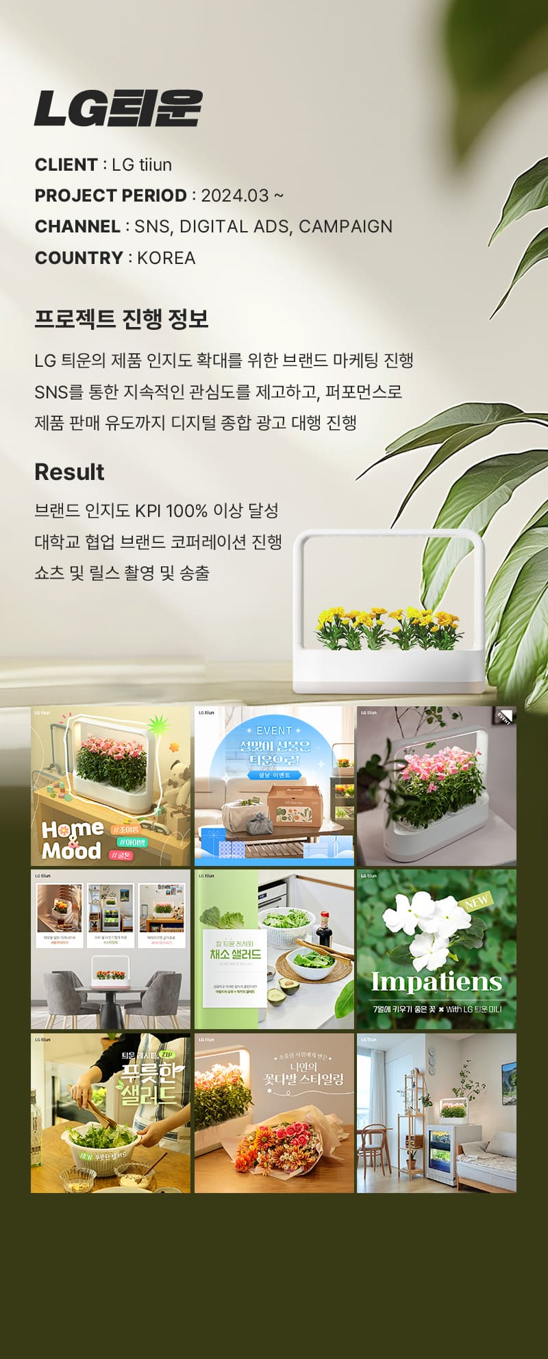 엘지 틔운 포트폴리오