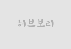 허브보리