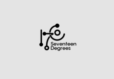세븐틴 디그리즈