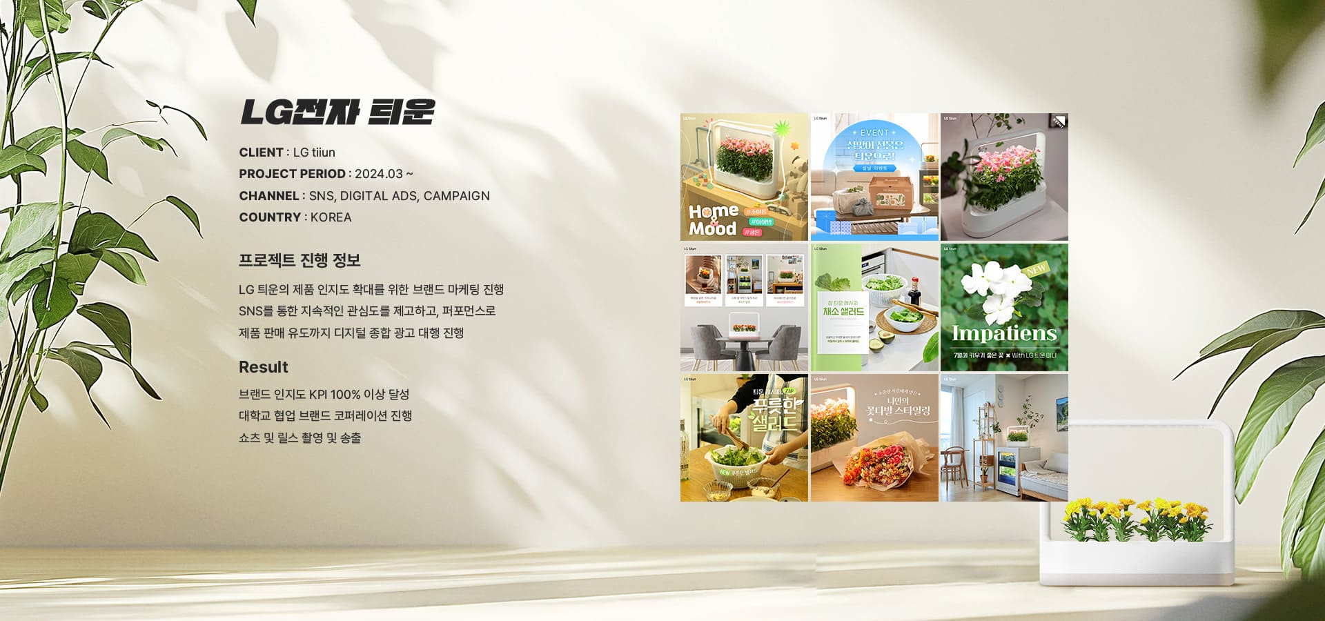엘지 틔운 포트폴리오